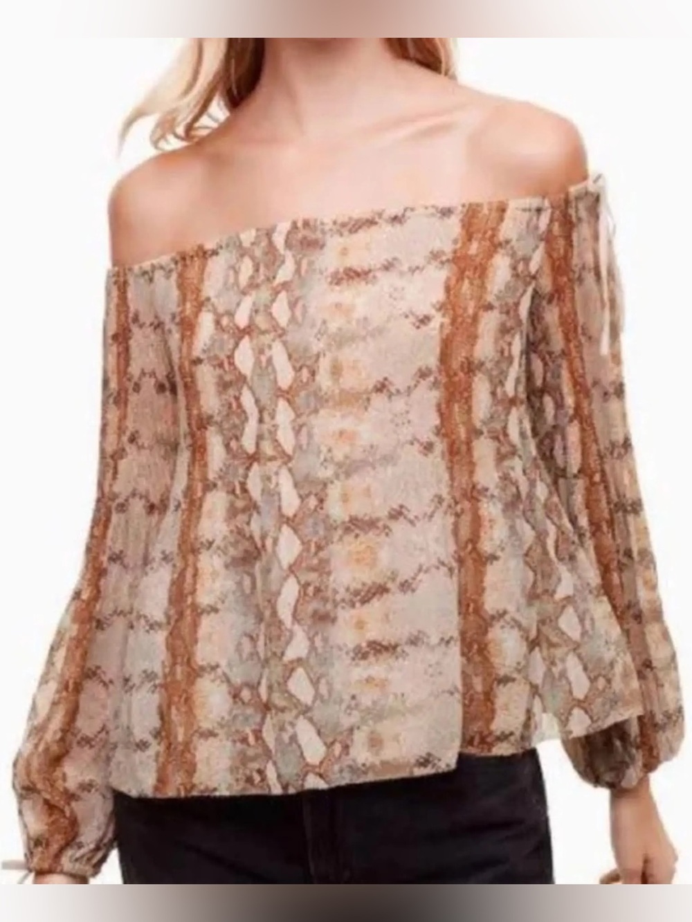Aritzia Wilfred Talence Off-The-Shoulder Pleated Chiffon Blouse